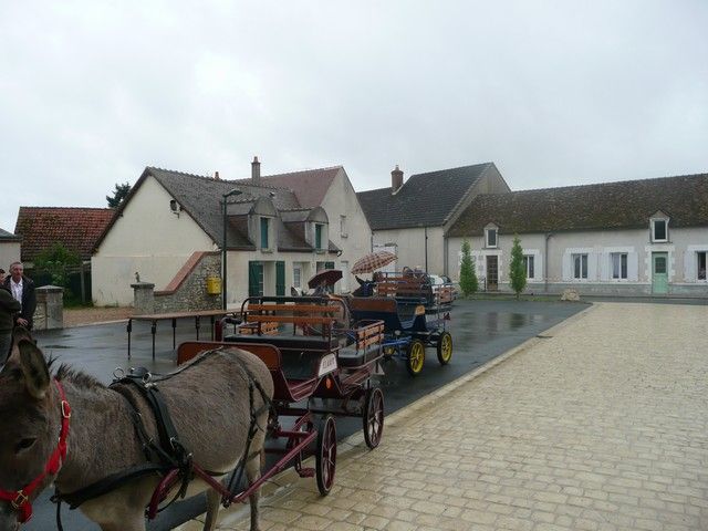 Ferolles (5).jpg